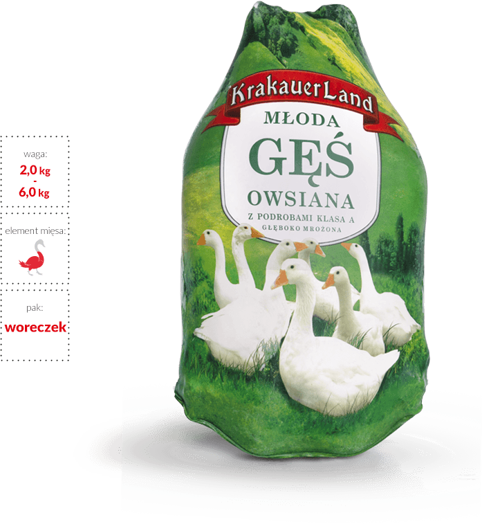 młoda gęś owsiana